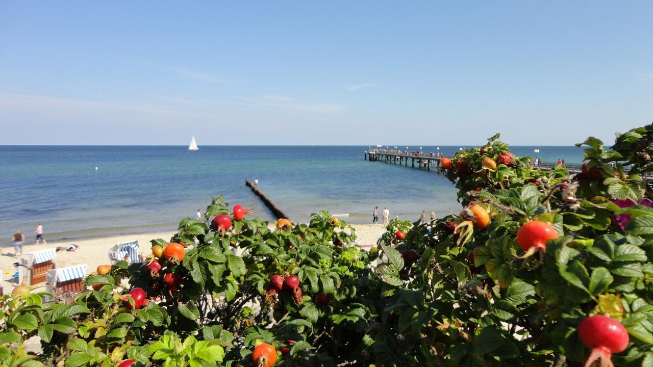 Hotel Edison Ostseebad Kühlungsborn Exteriör bild